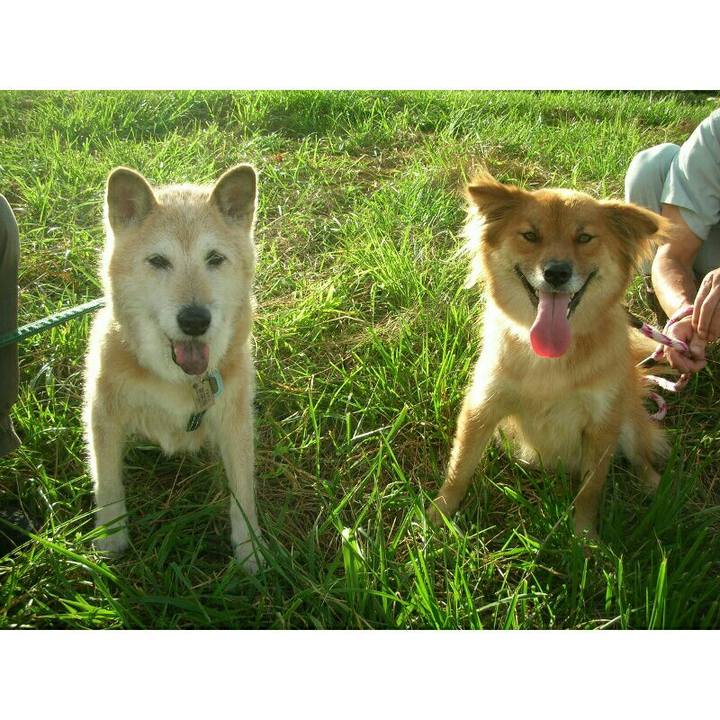 1547fcbe 3e16 4f52 a55e 0f63e3568fb9