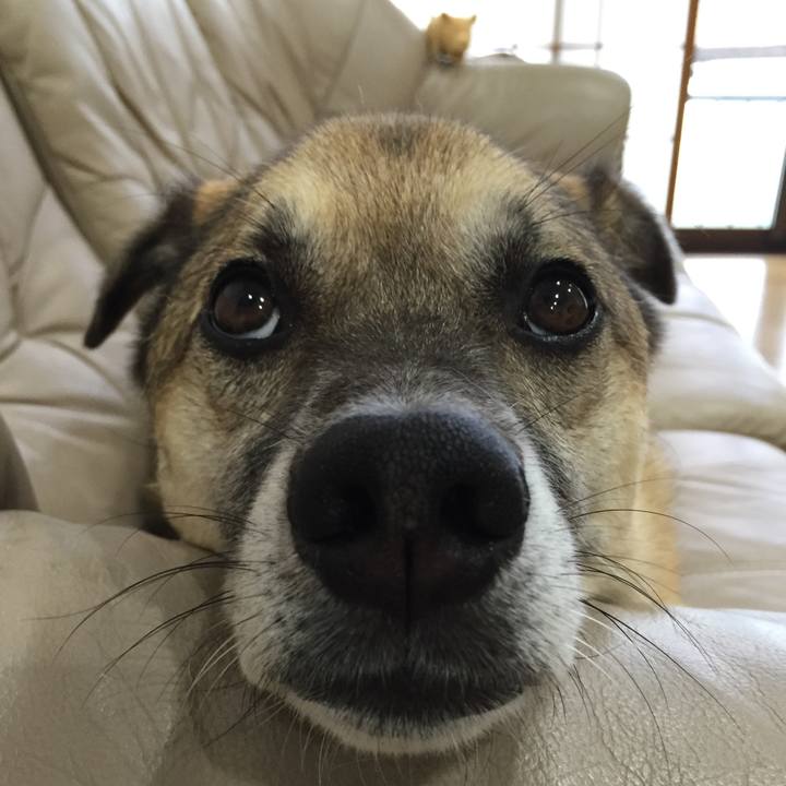 1548769c 6cd3 446c a856 abca9c912f3e