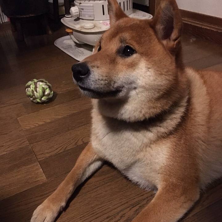 1548fc6e b16b 4ea0 8a84 9f8ccfc26589