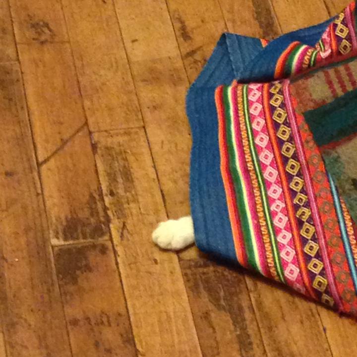 15495bdc 3c2c 44c9 955c 1847d258ce99