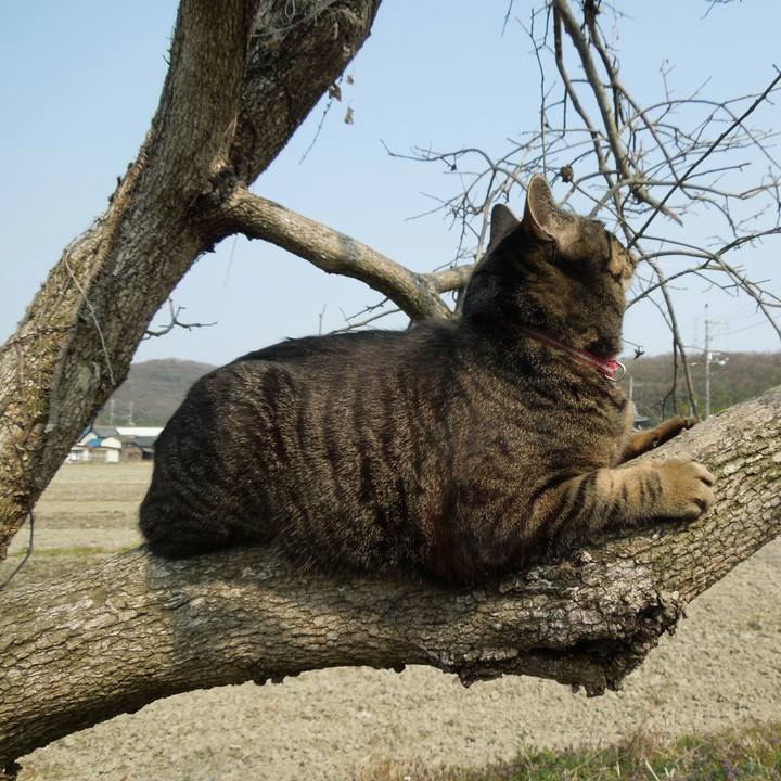 1549a886 fdd4 41ae b93c a7d58f135a5a