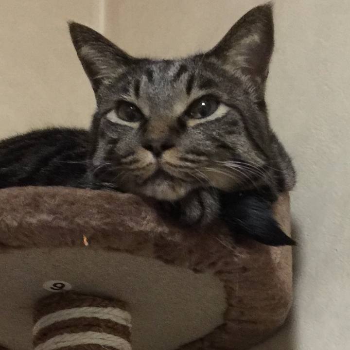 1549eb94 9754 4159 8f1d 2c088e8c05b6