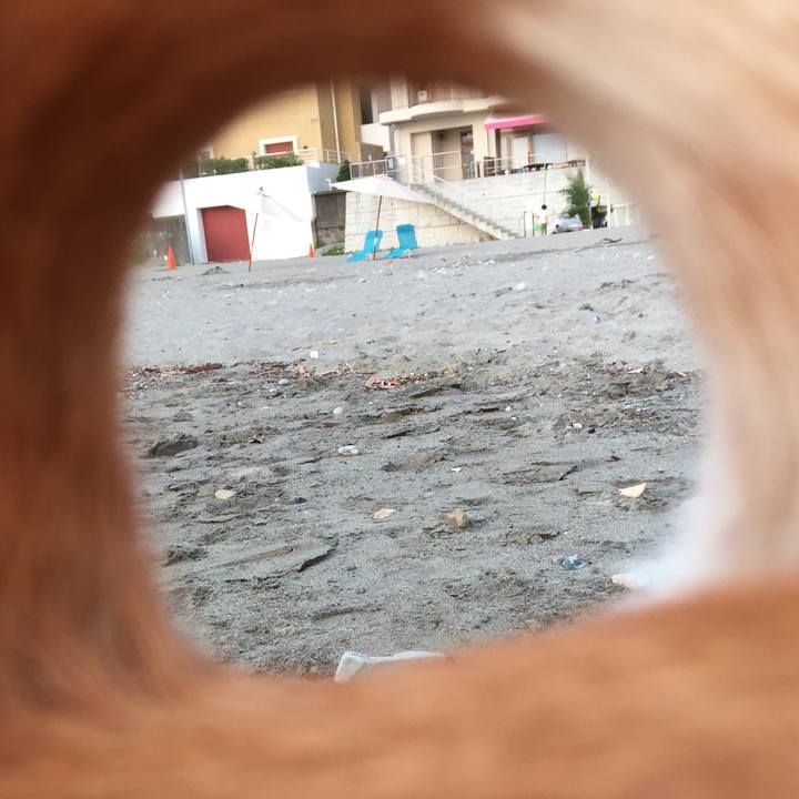 154a0a6b ea53 496c 8d64 81fd12e2fbe8