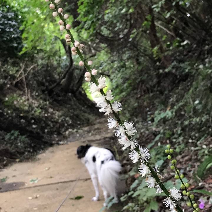 154a699d 66e2 4970 ac5f 91e6e2f715af