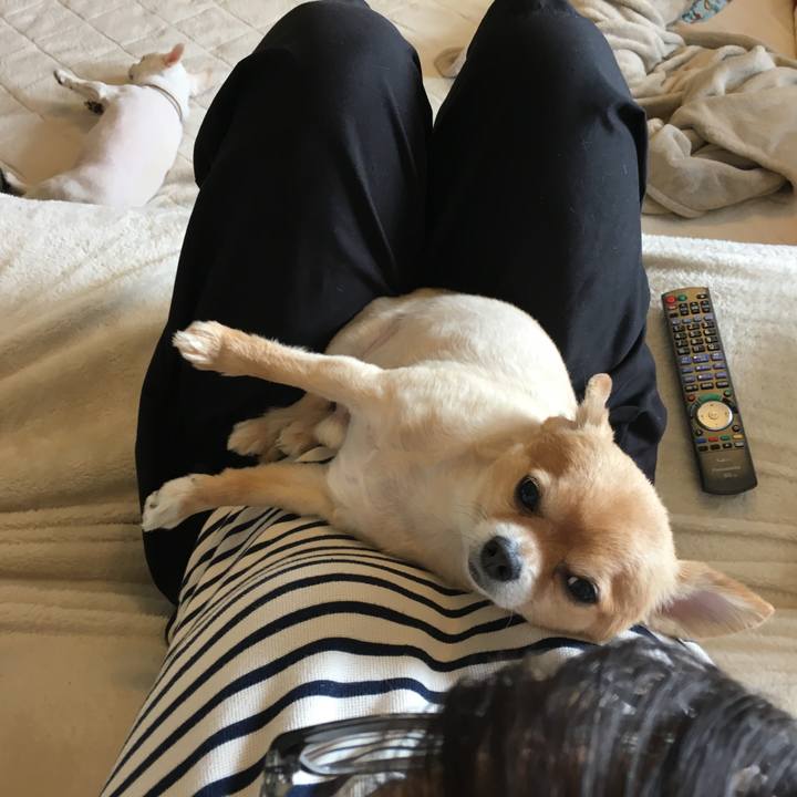 154a82fd eb8a 4d73 a88f 1db0644736f6