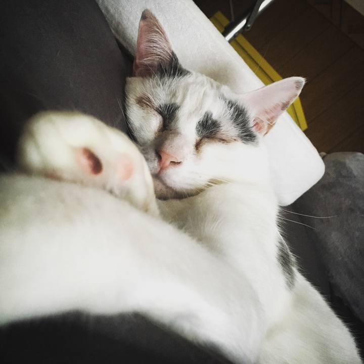 154b3508 a0f3 4340 9dd0 4a7601b90cd0