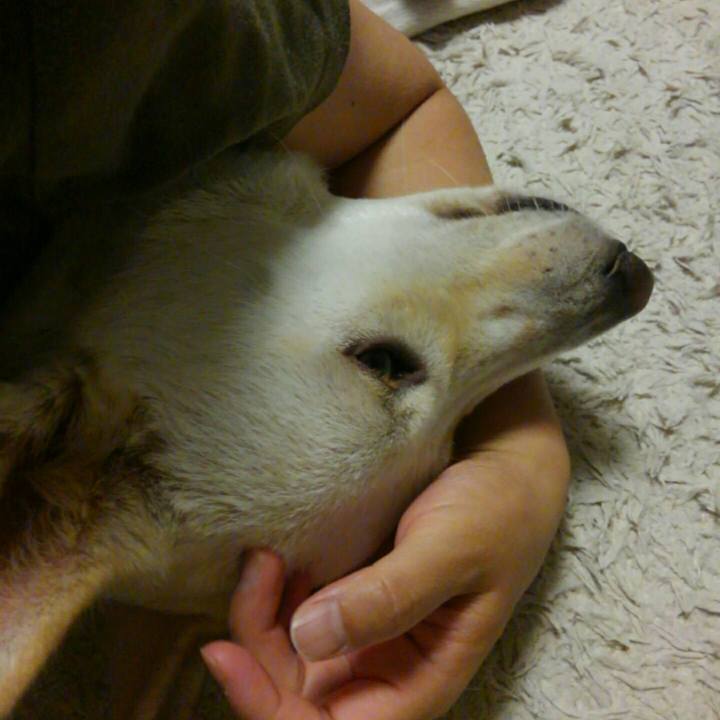 154bd6f5 1b17 41b8 8063 8dcb7dcef3cd