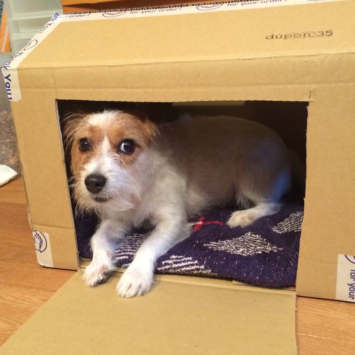 154bffaa 6967 47c9 b580 88b1b07ba046