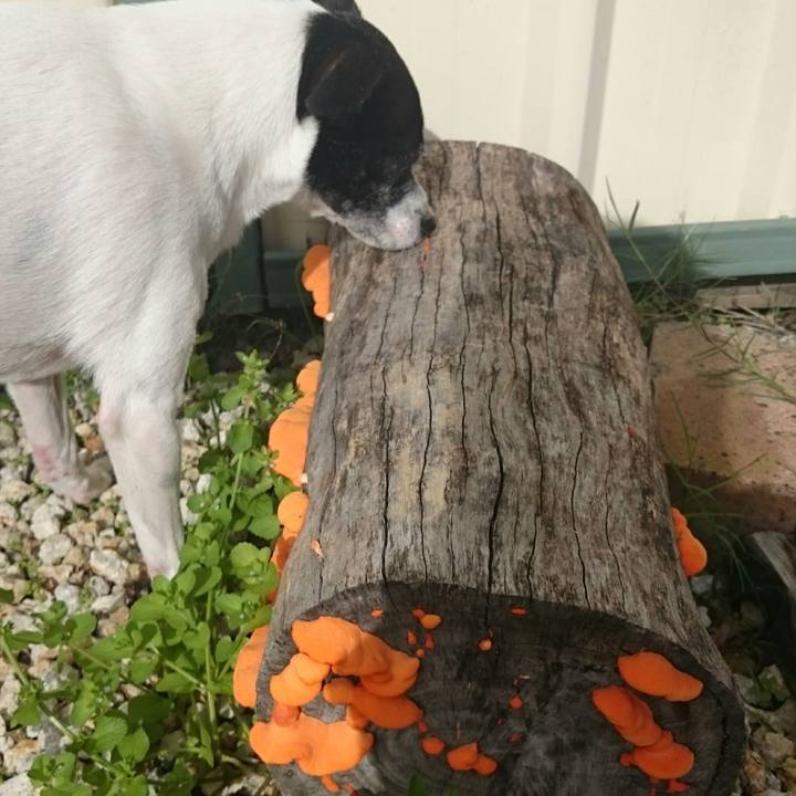 154c40e9 a005 48e3 be92 e21414843ce4