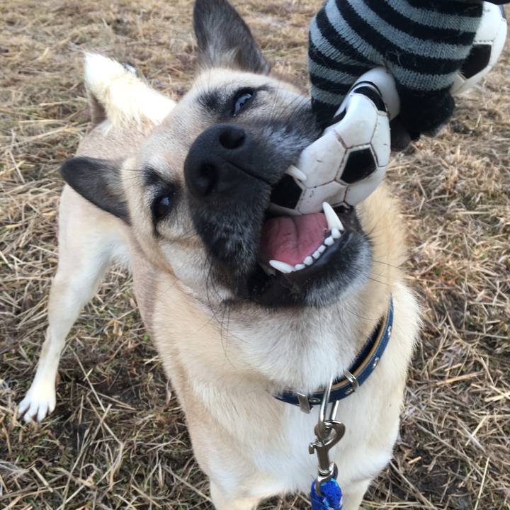 154cc397 0ff7 4c6b a803 8dc131e960de