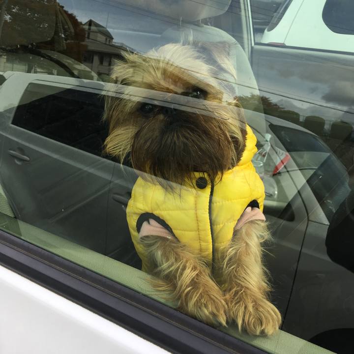 154d55d3 f8e0 4771 8ffb ae5e870827dc