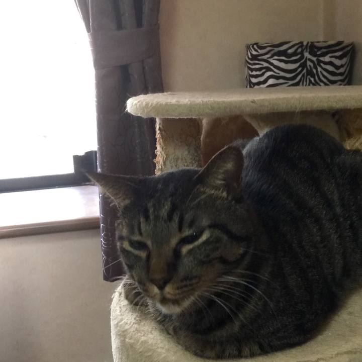 154df3ea 8358 4f20 a5da eaf4860c160d