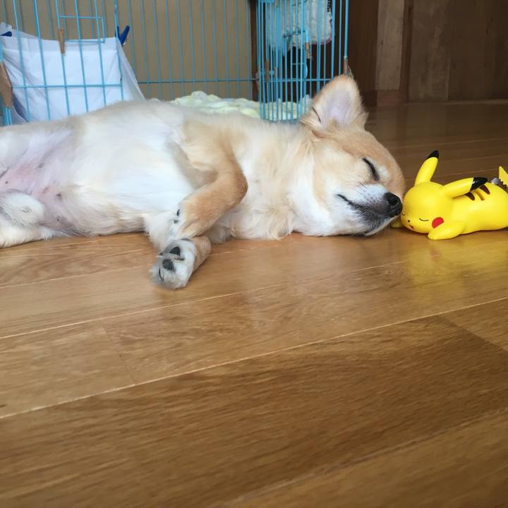 154e0f0c bf3a 4373 bad9 c41e5b6266ba