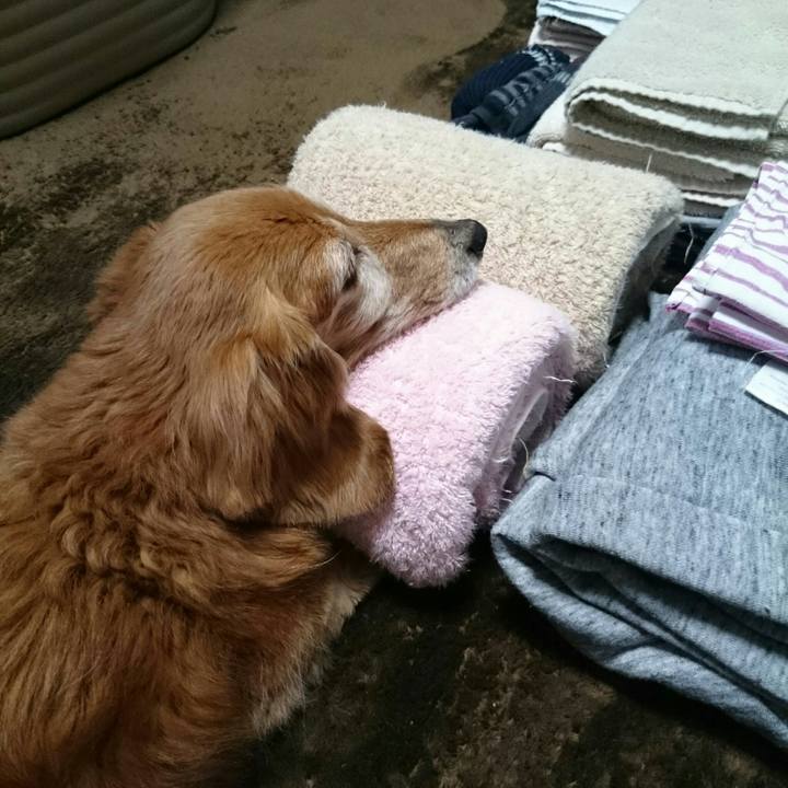 154e4b6d 34cd 4f95 9c1c 3f0f257e9892