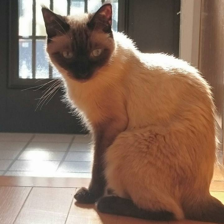 154f150e 5215 440b 9507 7e0135418ae1