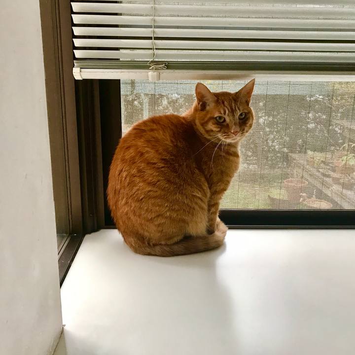 154fb6ea a577 409a 8030 0716eca67e63