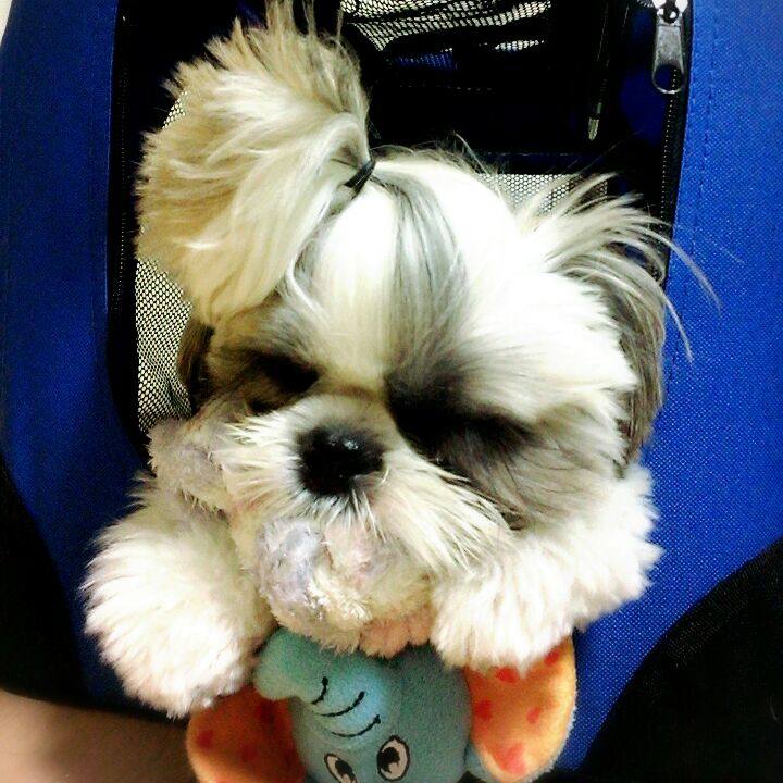 15501eeb 42a6 4d78 9bdd ae2f600973f0