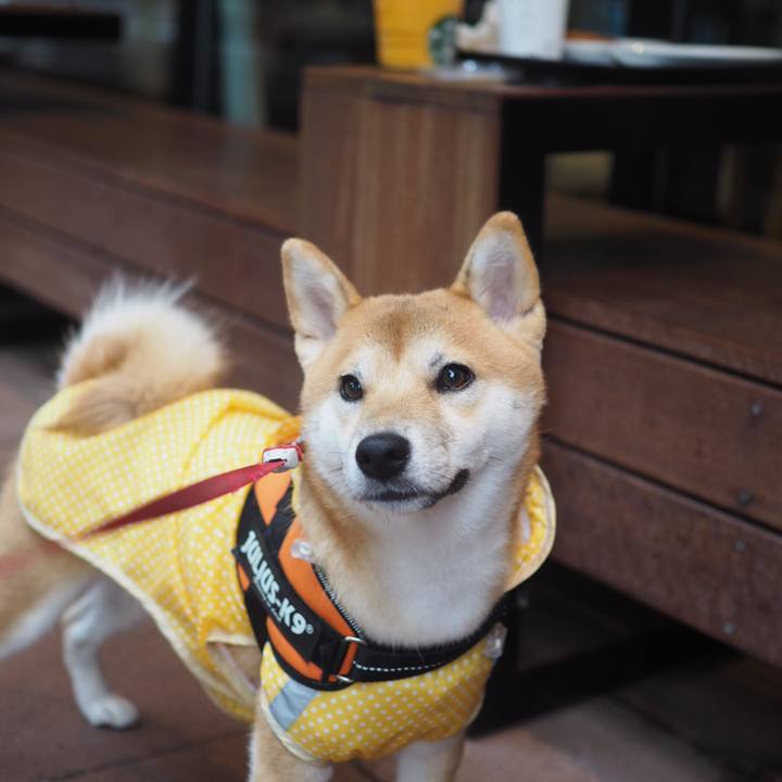 15502c5a d69a 4ecb ab44 72b40269a1f2