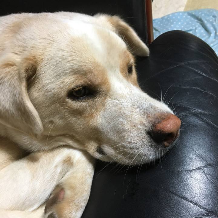 1550ae35 5271 4fec a9d0 3769c513c340