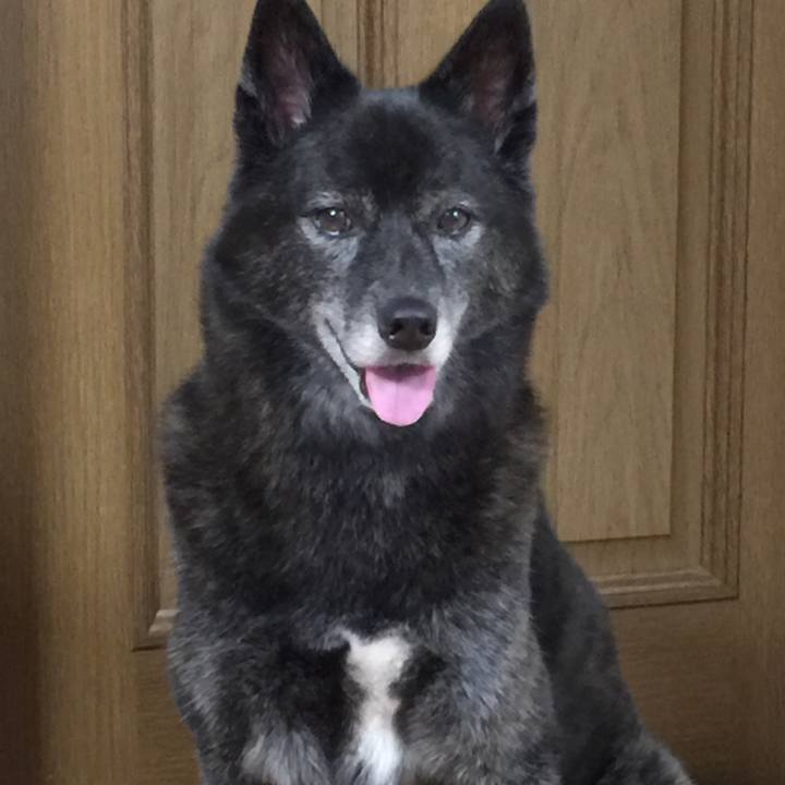 1550bc62 c171 4860 9012 f4abf9a12961