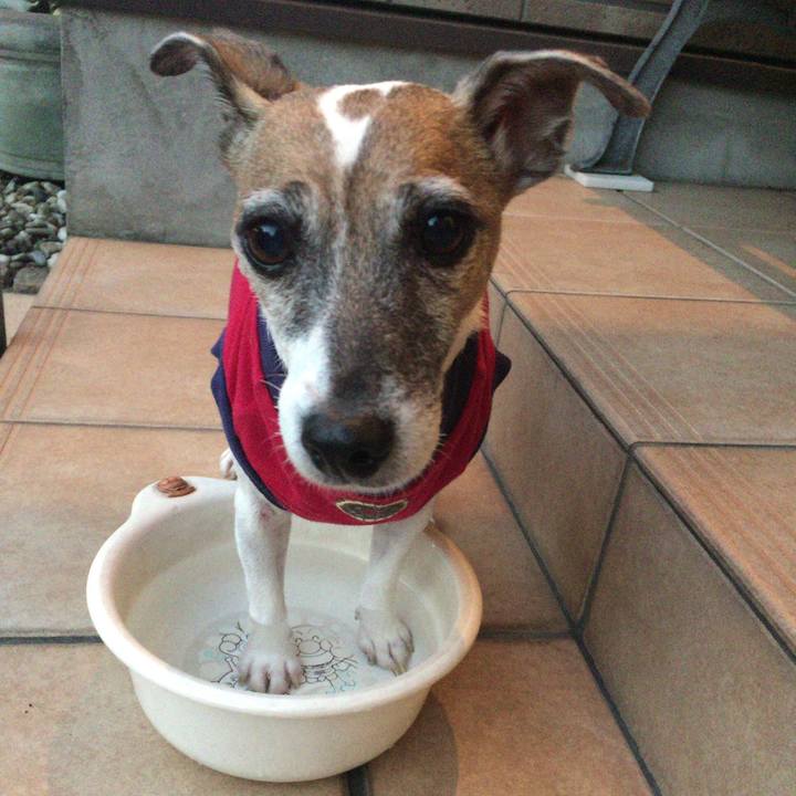 1550cc76 5d57 4374 ae44 f5fbd8ce5e1b