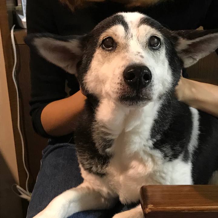 155113a9 6dbb 4a19 80eb e9e372bf68b2