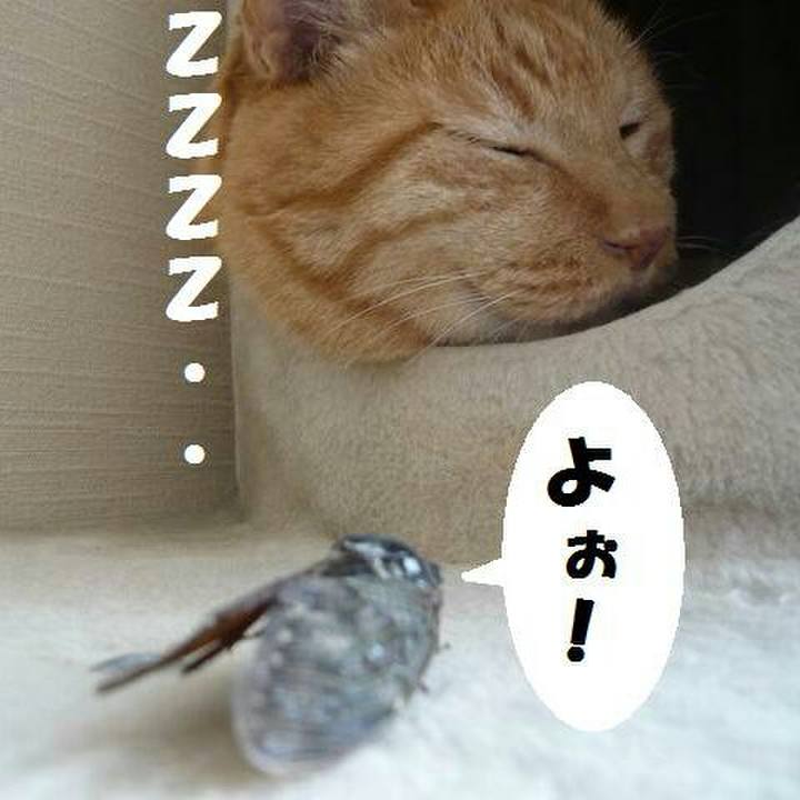 15515a7f 110b 491c 81e3 d5e9897892f7