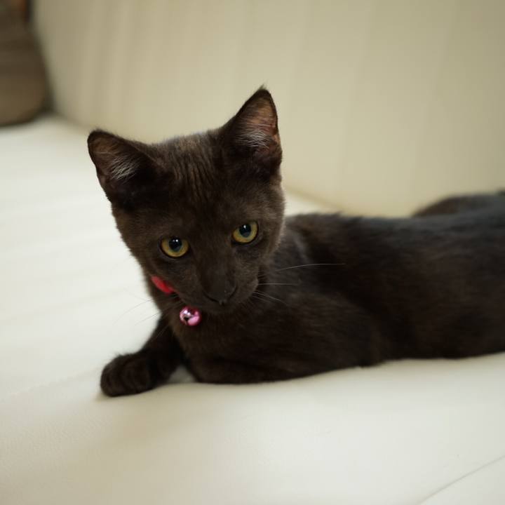 1551d8fb 88d8 4881 badb f7e2ca5d8160