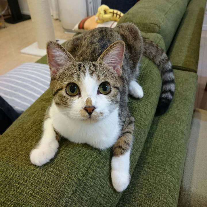 15523296 6dc6 4bb1 9346 6b97a8e4235c