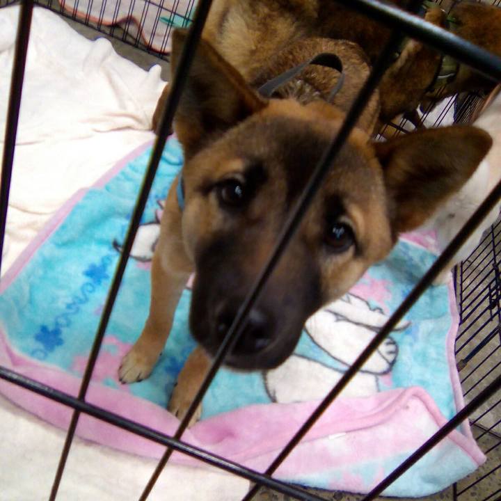 1552c388 6b2e 4c58 b8c9 83089a8e1020