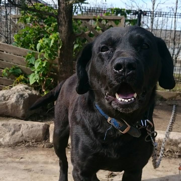 155307bf b0dc 438f 95ff 232013ded451