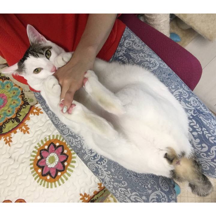 15539955 7b21 42a1 b201 54110b2293dd