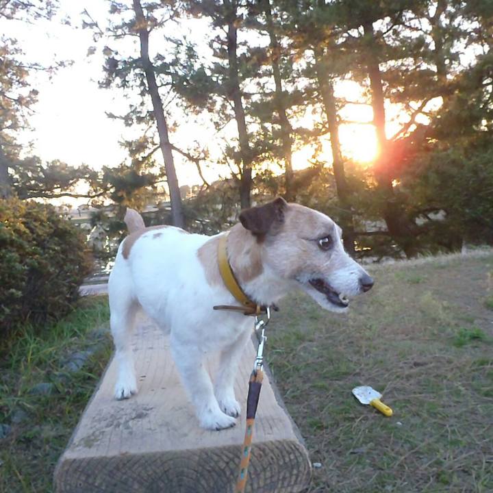 15543dca 9ea4 4cae afb2 b19e82dd8d7b