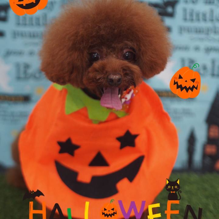 155458aa 2575 4876 a21a 31a7ae240685