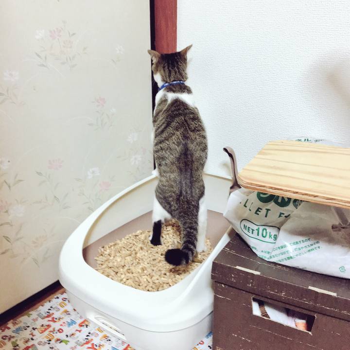 1554ad25 de08 4083 84c8 89f43a9bc04e