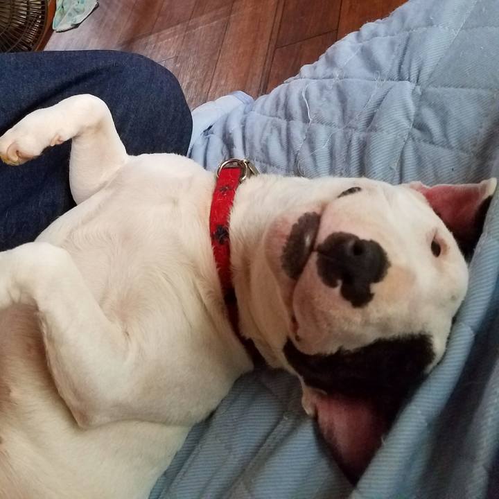 1554fbad 2696 4bd0 b13b 9bff06c0f501