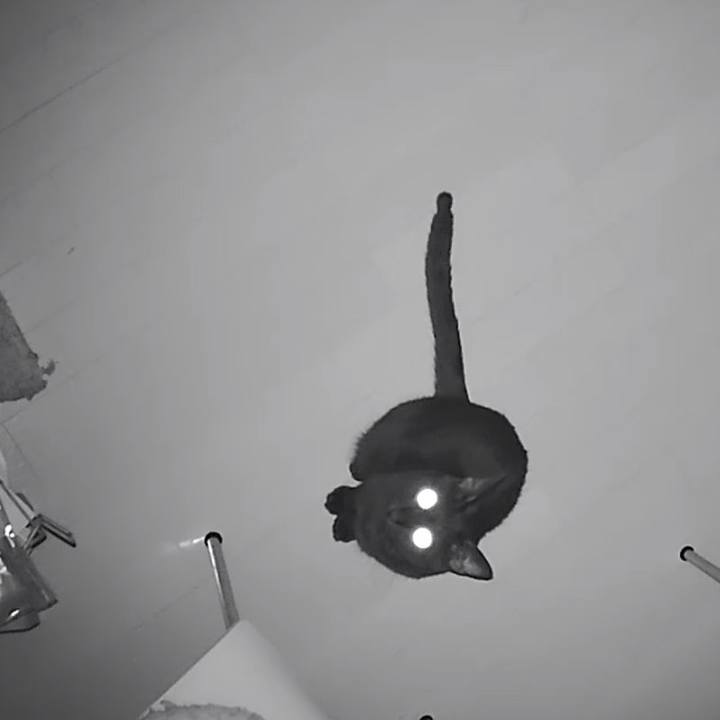 15555167 9b1b 43b1 b220 21c86d50cbbd