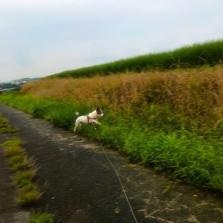 155564a3 7523 48ff 86b4 2def82f484ba