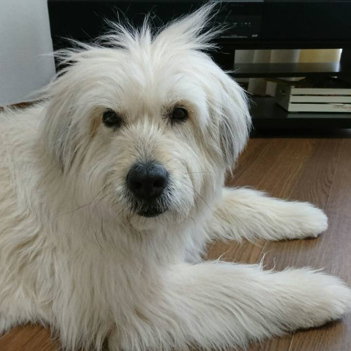 1555ae7c d0ca 441c b0a5 21663614ece7