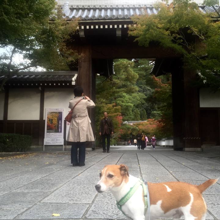 1555d32e 23d9 49f4 bf41 250255924b3b