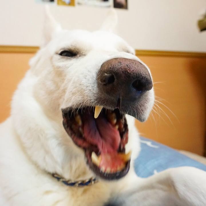 1556d8dc 6168 44df 96a3 3563be81ad2c