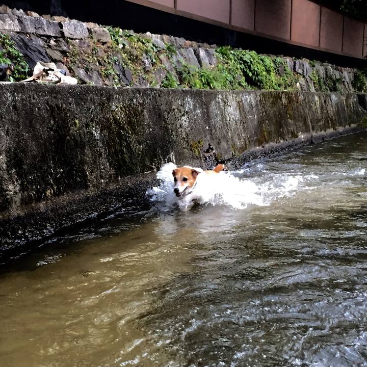 1556e14a 36e3 457d 9ee2 c1a21d9c8eb3