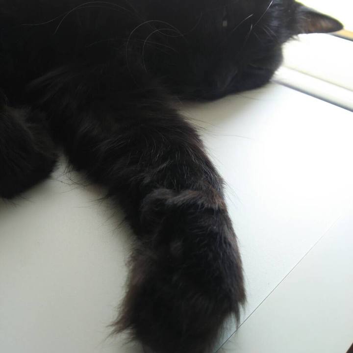 1556efc3 33f1 48da 8002 b5fe8717055e