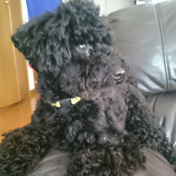 15572795 8148 4730 b4a8 16178301969f