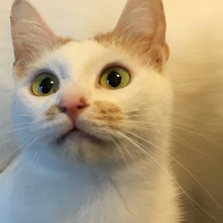 1557ae62 21b4 4d41 a5fe 4e5b5651dd06