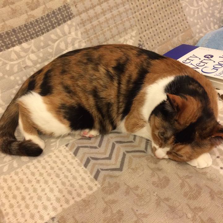 1557b6a2 433c 4200 a494 23d2ca43b2c0