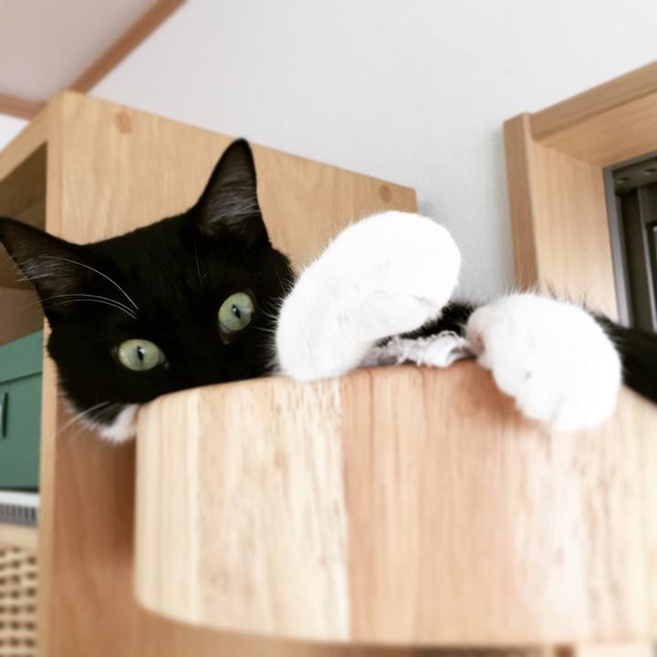 1557ca44 56bf 4c6e b17c ea18a1a20207