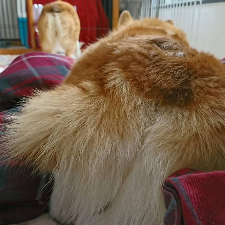 155886b1 f321 4643 be50 2cb43f629bc2