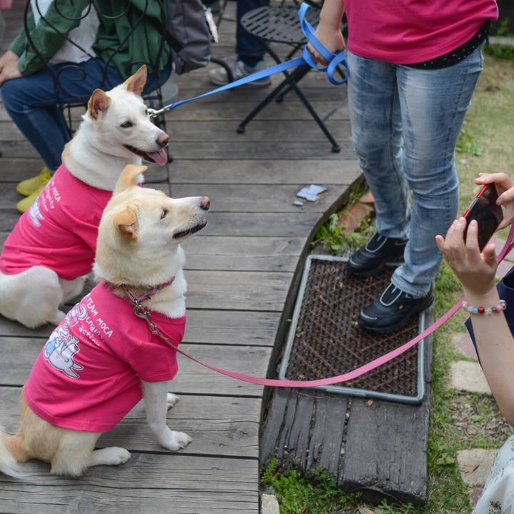 15589313 96d1 4970 883b 67d339611458