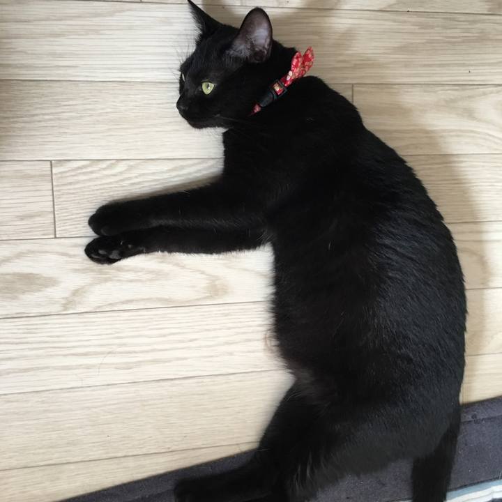 1558ad24 0e70 4891 8990 3544b6f4ee3c